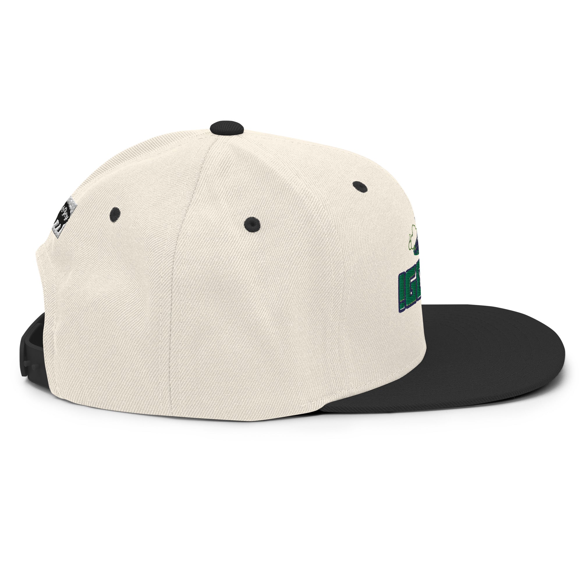 “iGO Jet” Snapback Hat