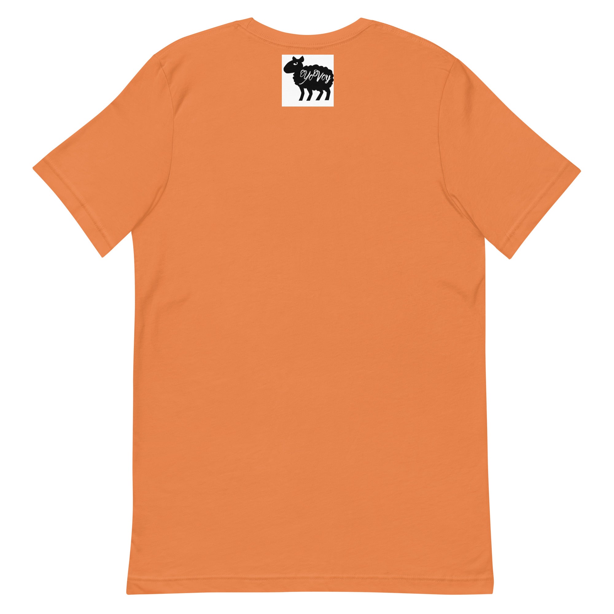 “Only Trust God” Unisex t-shirt