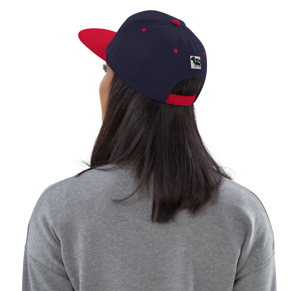 “The Winning Team” Snapback Hat