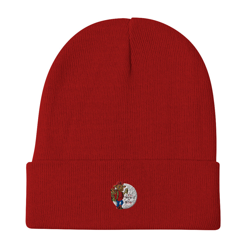Embroidered “YOVOY Cool” Beanie