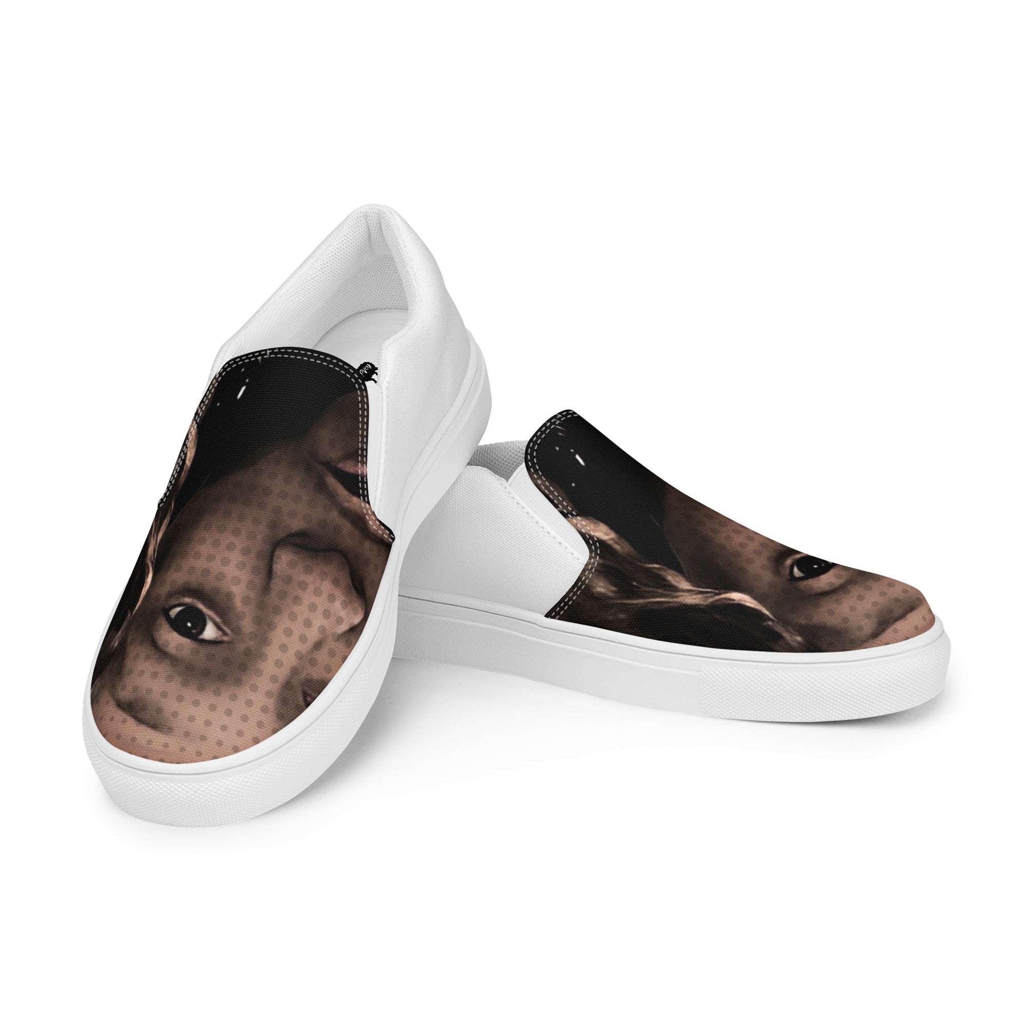 “DoubleDThaCollegeKid” Men’s slip-on canvas shoes