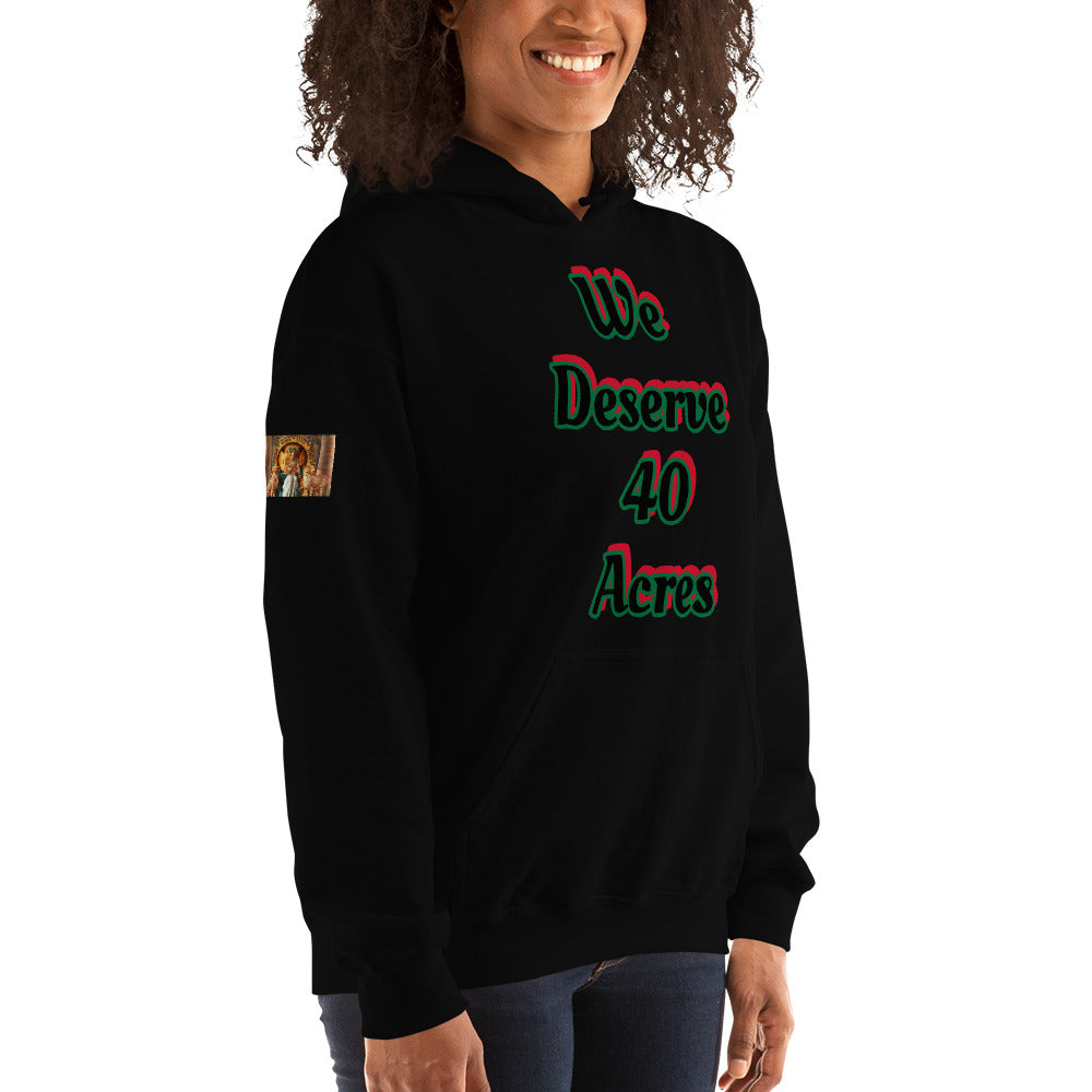 Unisex “We deserve 40 acres” Hoodie