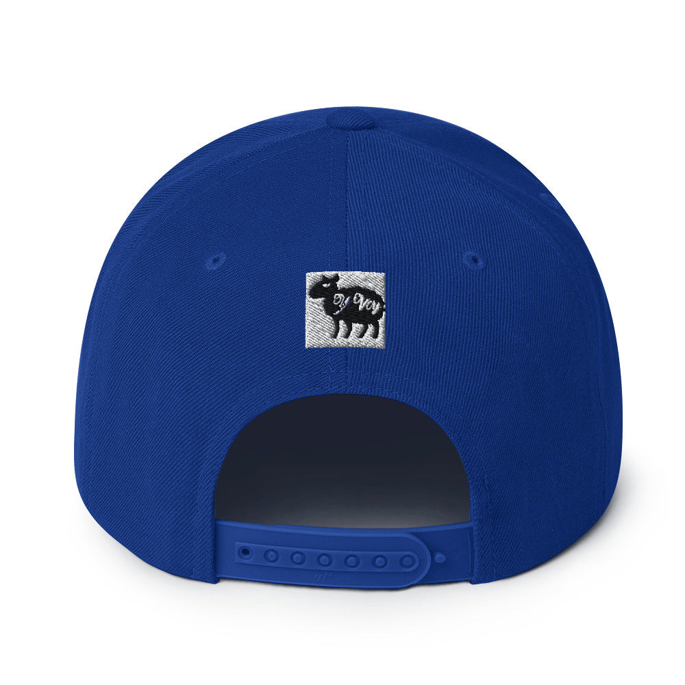 Snapback “CollegeKid” Hat