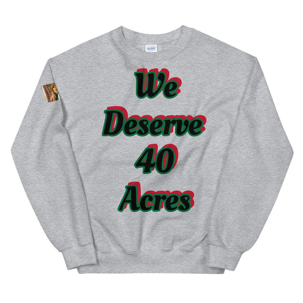Unisex “We deserve 40 acres” Sweatshirt