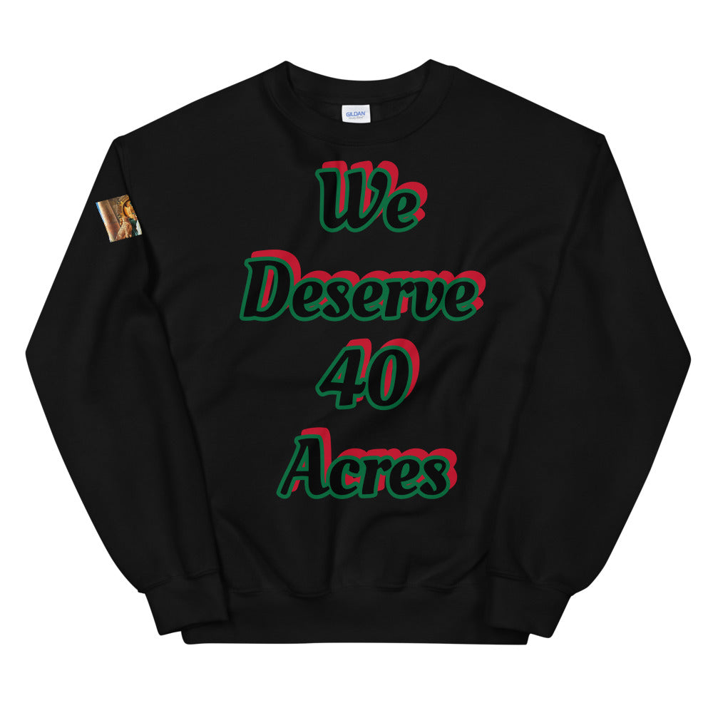 Unisex “We deserve 40 acres” Sweatshirt