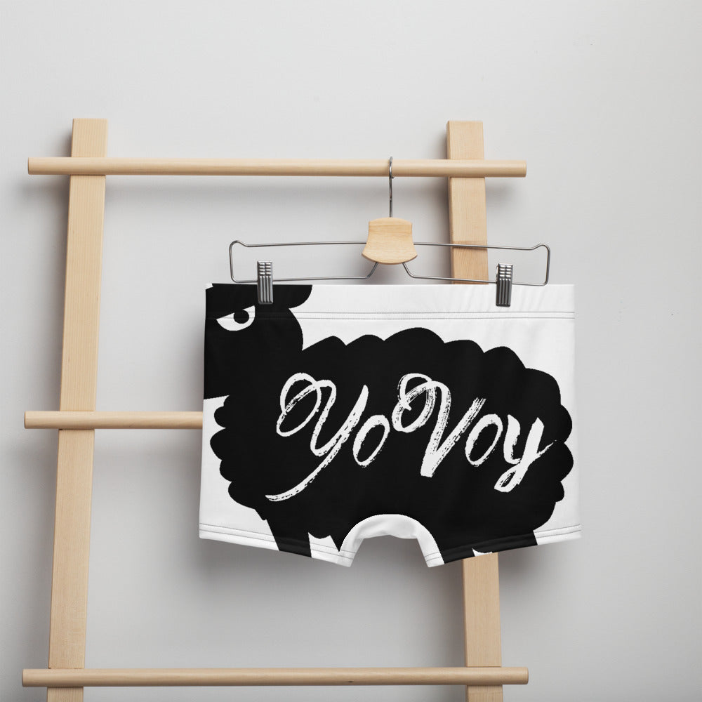 “YOVOY” Boxer Briefs