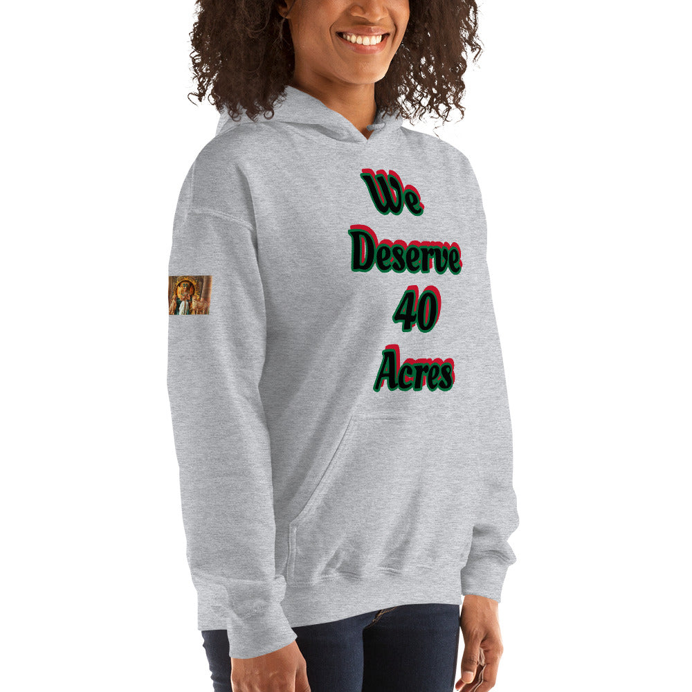 Unisex “We deserve 40 acres” Hoodie