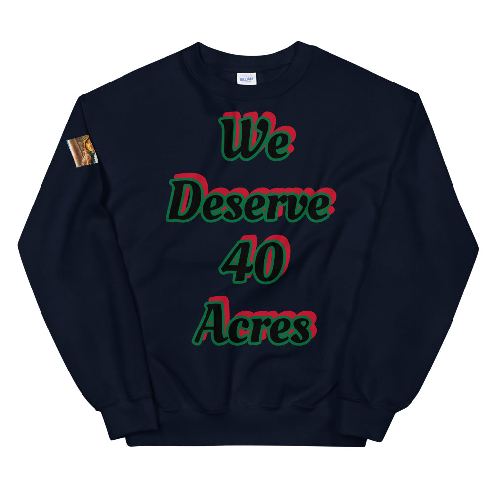 Unisex “We deserve 40 acres” Sweatshirt