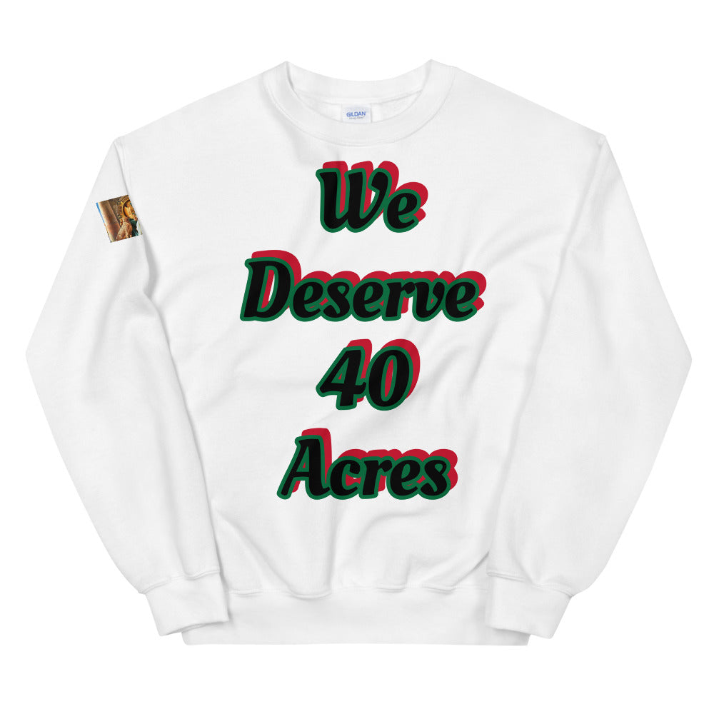 Unisex “We deserve 40 acres” Sweatshirt