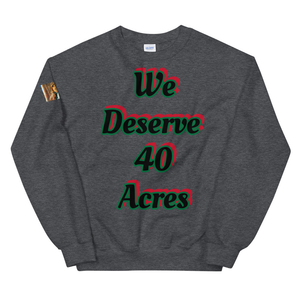 Unisex “We deserve 40 acres” Sweatshirt
