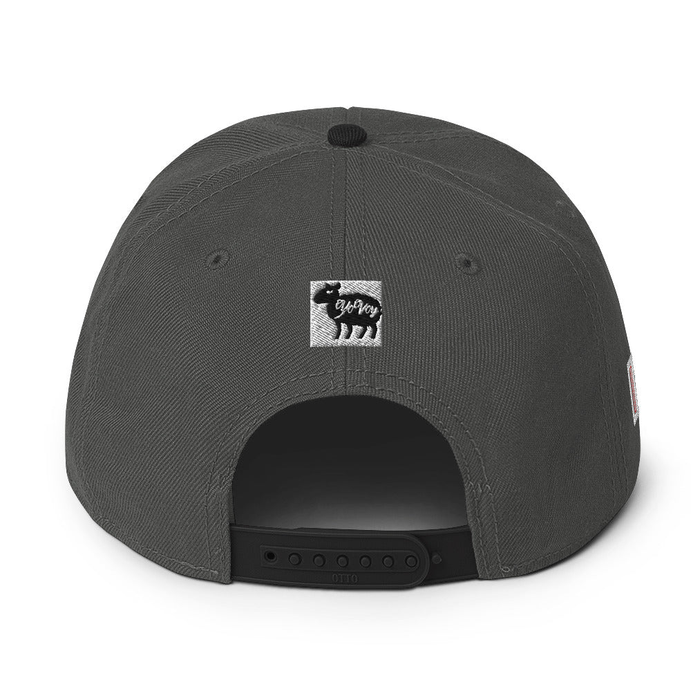 “HYPHY” Snapback Hat