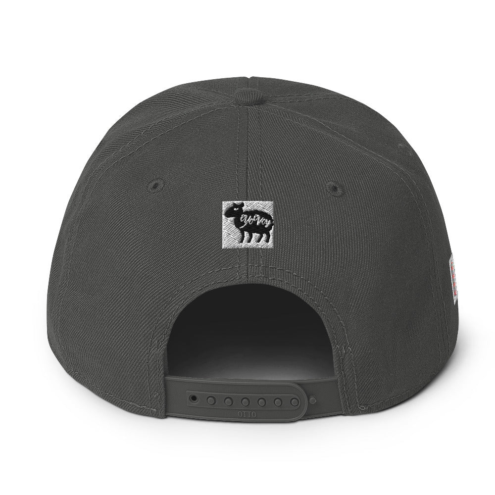 “HYPHY” Snapback Hat