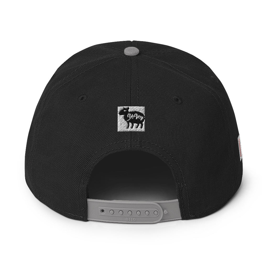 “HYPHY” Snapback Hat