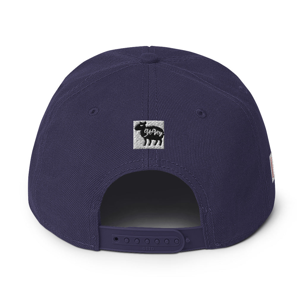 “HYPHY” Snapback Hat